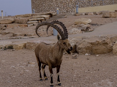 Israel Jordanien -242